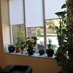 Casa Lagar Da Alagoa 컨트리하우스