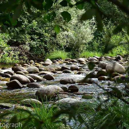 Casa Lagar Da Alagoa
