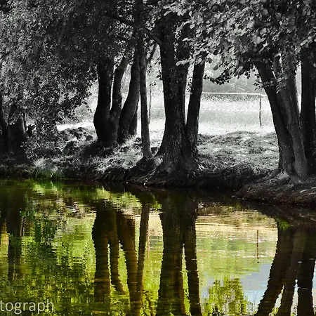 Casa Lagar Da Alagoa Gospodarstwo wiejskie Manteigas