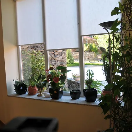 Casa Lagar Da Alagoa Kır Evi