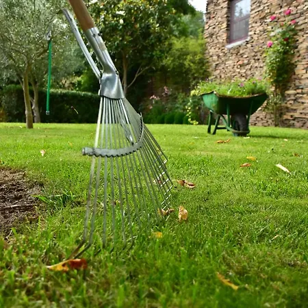 Casa Lagar Da Alagoa Gospodarstwo wiejskie