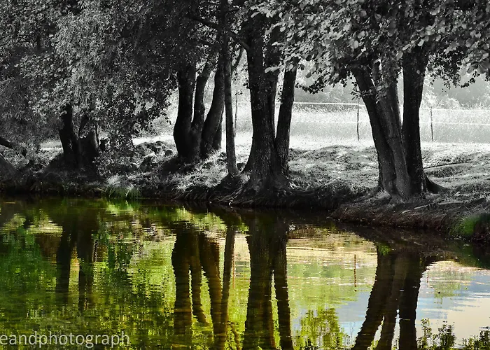 Casa Lagar Da Alagoa Gospodarstwo wiejskie Manteigas