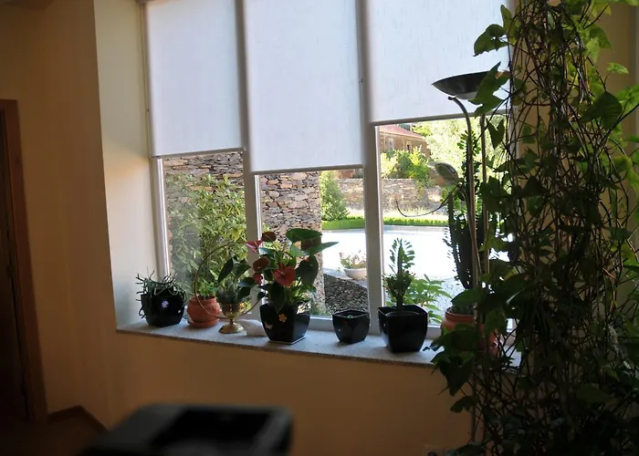 Casa Lagar Da Alagoa בית כפרי