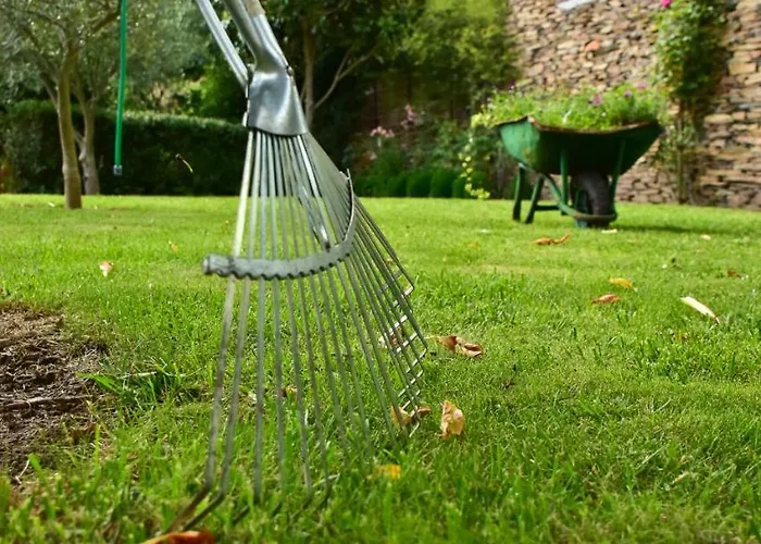 Casa Lagar Da Alagoa Gospodarstwo wiejskie